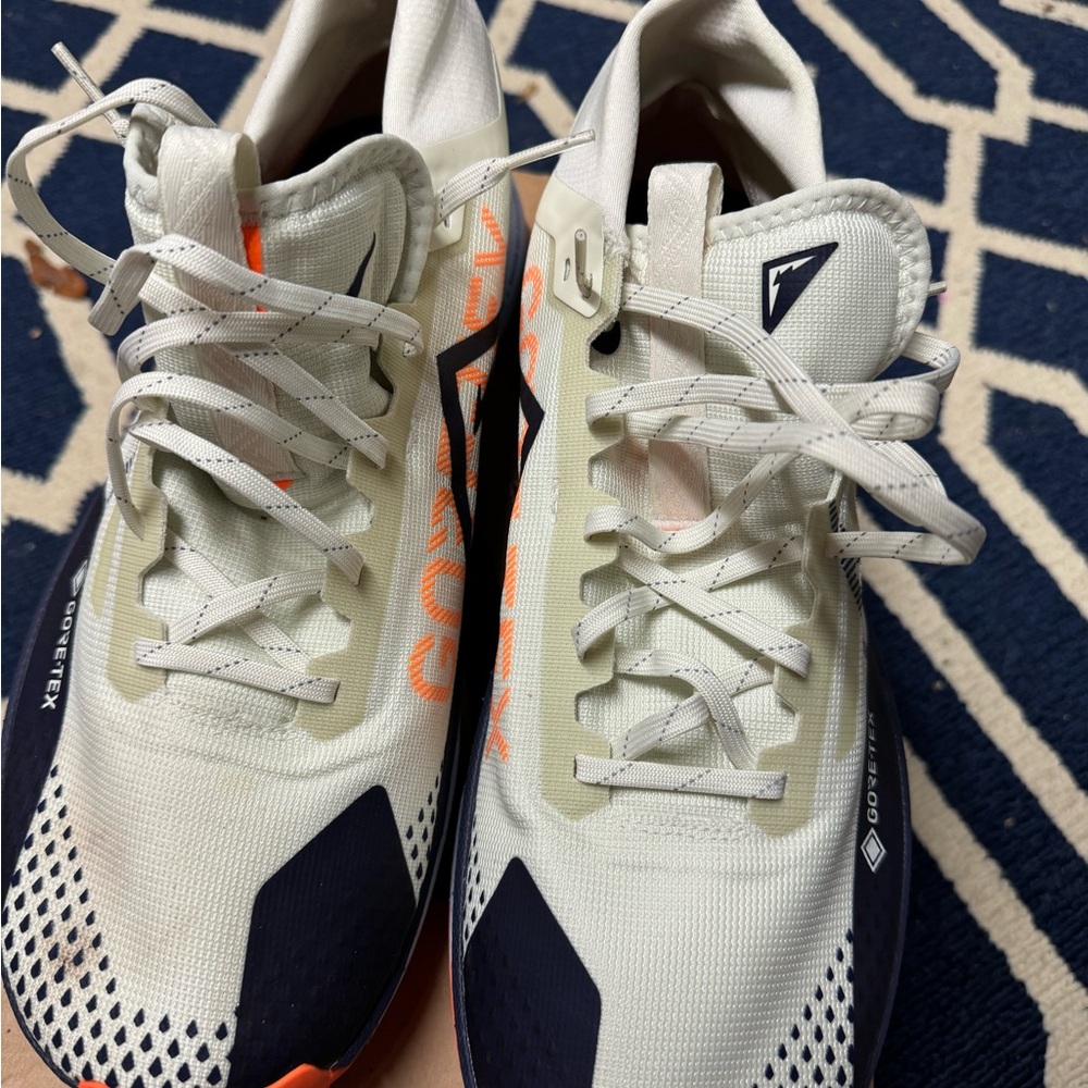 Nike Gortex sneakers.  NIB. Small dirt stain on toe. Not worn outside.
